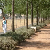 La mejora de la Vía Verde Ciudad Real es uno de las obras adjudicadas La mejora de la Vía Verde Ciudad Real es uno de las obras adjudicadas