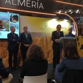 fitur-antas