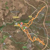 Media Maratón 2025 Media Maratón 2025