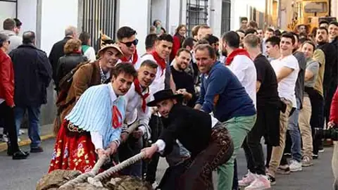 Día de la Vaca en San Pablo de los Montes. Día de la Vaca en San Pablo de los Montes.