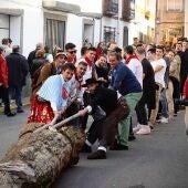 Día de la Vaca en San Pablo de los Montes. 