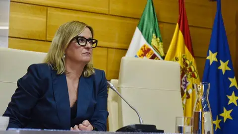 La presidenta de la Asamblea continuará al frente de los trabajos del grupo europeo de Igualdad de la Calre La presidenta de la Asamblea continuará al frente de los trabajos del grupo europeo de Igualdad de la Calre