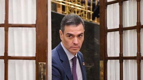 Pedro S&aacute;nchez en el Congreso de los Diputados