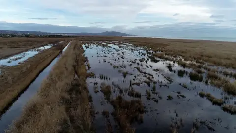 Cabanes también presentará un contencioso por vía judicial para evitar el deslinde del Prat Cabanes-Torreblanca Cabanes también presentará un contencioso por vía judicial para evitar el deslinde del Prat Cabanes-Torreblanca