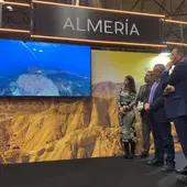 pulpi fitur pulpi fitur