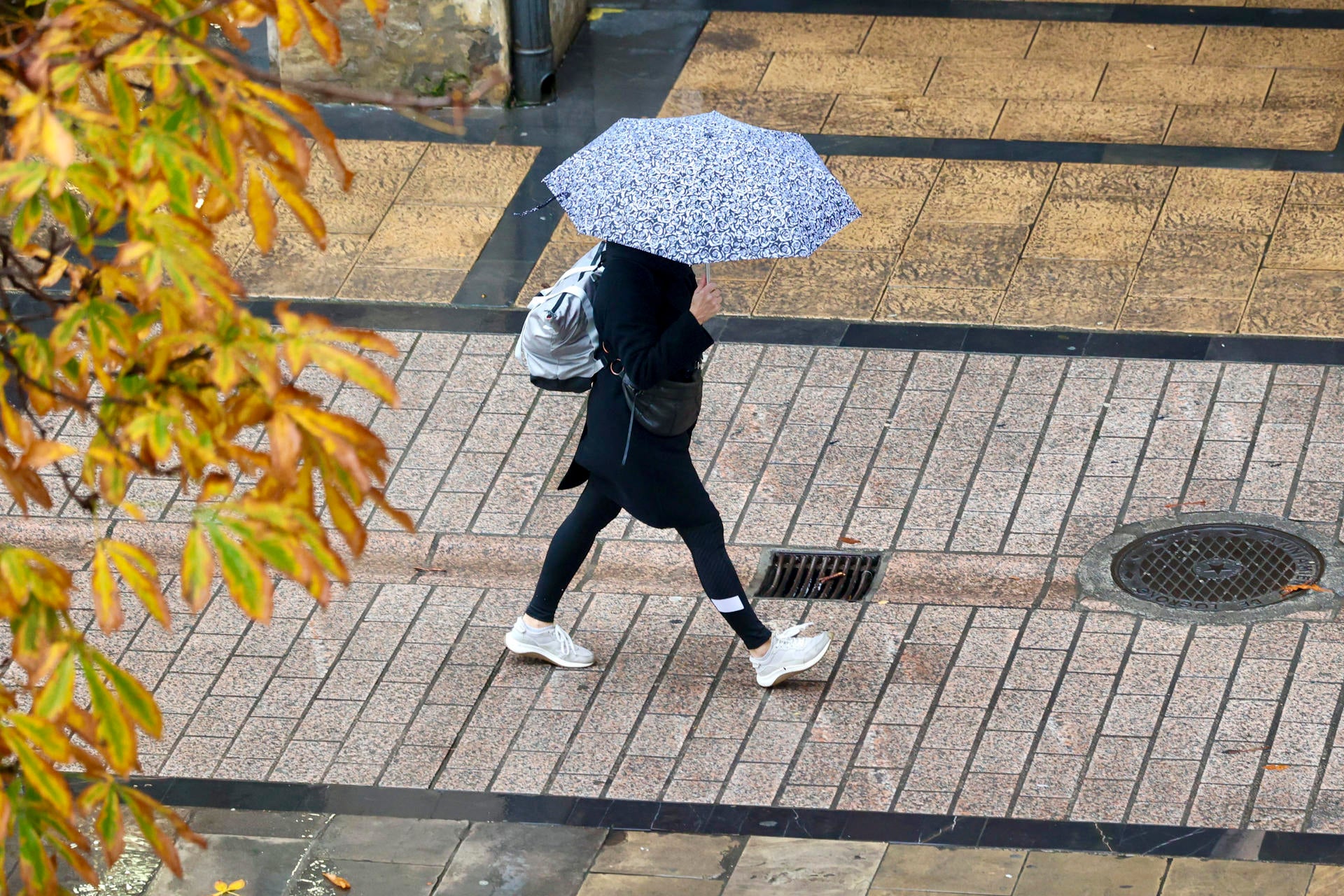La borrasca Herminia pone en alerta a varias comunidades por fuertes lluvias, oleaje y nieve La borrasca Herminia pone en alerta a varias comunidades por fuertes lluvias, oleaje y nieve