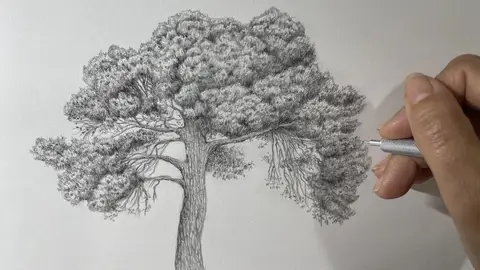 El Museo Paleontológico de Elche acoge hasta el 31 de enero la exposición ‘Paleolight’. El Museo Paleontológico de Elche acoge hasta el 31 de enero la exposición ‘Paleolight’.