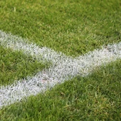 Imagen de recurso: césped de un campo de fútbol Imagen de recurso: césped de un campo de fútbol