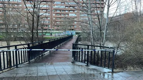León cierra las pasarelas del Bernesga por el aumento del caudal León cierra las pasarelas del Bernesga por el aumento del caudal