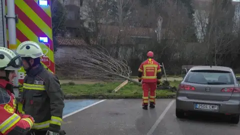 Bomberos de Cantabria han atendido numerosas incidencias por fuertes rachas de viento Bomberos de Cantabria han atendido numerosas incidencias por fuertes rachas de viento