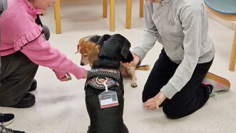 Terapia asistida con animales
