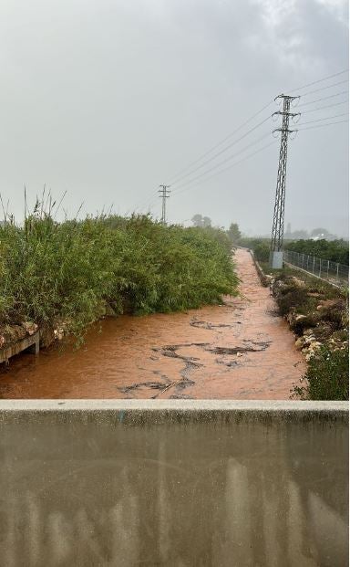 Alzira contará con una subvención de la Diputació de València para combatir las plagas derivadas de la DANA Alzira contará con una subvención de la Diputació de València para combatir las plagas derivadas de la DANA