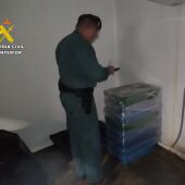 Intervención de pescado en Altea