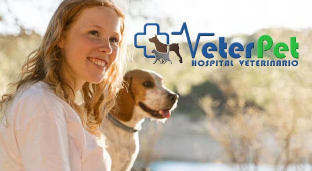 ¿Cómo calcular el equivalente en personas de los años perrunos? El reloj epigenético ¿Cómo calcular el equivalente en personas de los años perrunos? El reloj epigenético