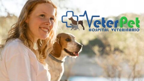 &iquest;C&oacute;mo calcular el equivalente en personas de los a&ntilde;os perrunos? El reloj epigen&eacute;tico