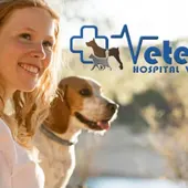 ¿Cómo calcular el equivalente en personas de los años perrunos? El reloj epigenético ¿Cómo calcular el equivalente en personas de los años perrunos? El reloj epigenético