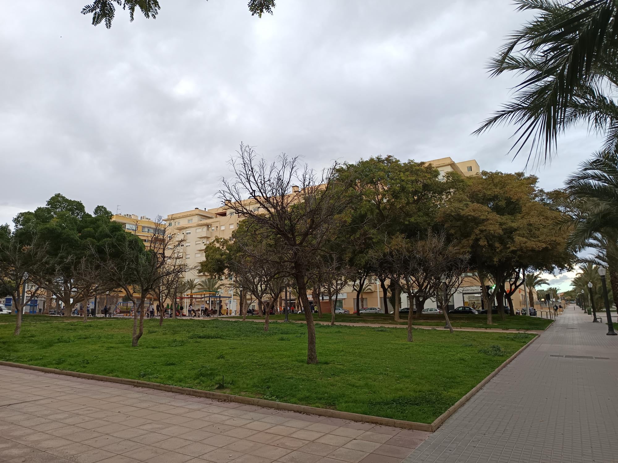 Vuelve el frío a Elche, Santa Pola y Crevillent en un martes con viento y en el que puede llover Vuelve el frío a Elche, Santa Pola y Crevillent en un martes con viento y en el que puede llover