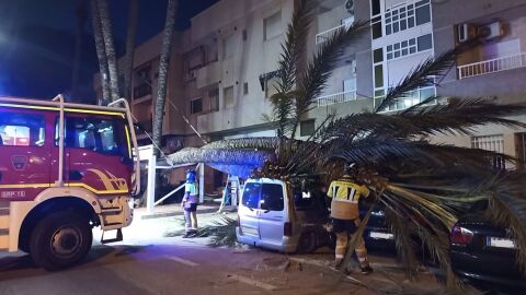 El 112 gestiona 78 incidentes por el viento en la Región de Murcia