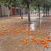 Más de uno Sevilla Más de uno Sevilla