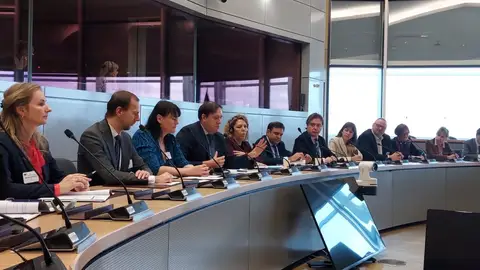 La Junta de Extremadura defiende ante la Comisión Europea el futuro de la política de cohesión La Junta de Extremadura defiende ante la Comisión Europea el futuro de la política de cohesión