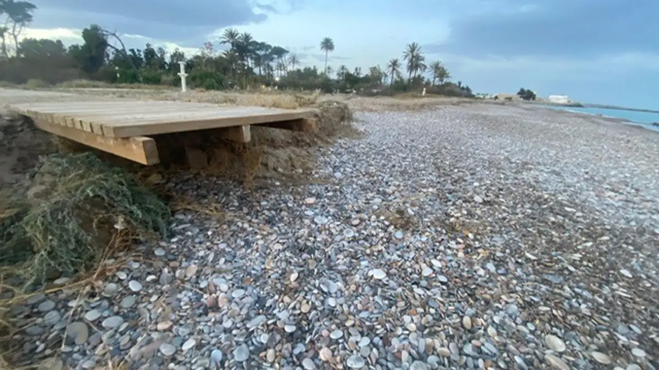 Estado de las Playas de Almardà de Sagunto tras el paso de la borrasca Herminia por El Camp de Morvedre Estado de las Playas de Almardà de Sagunto tras el paso de la borrasca Herminia por El Camp de Morvedre