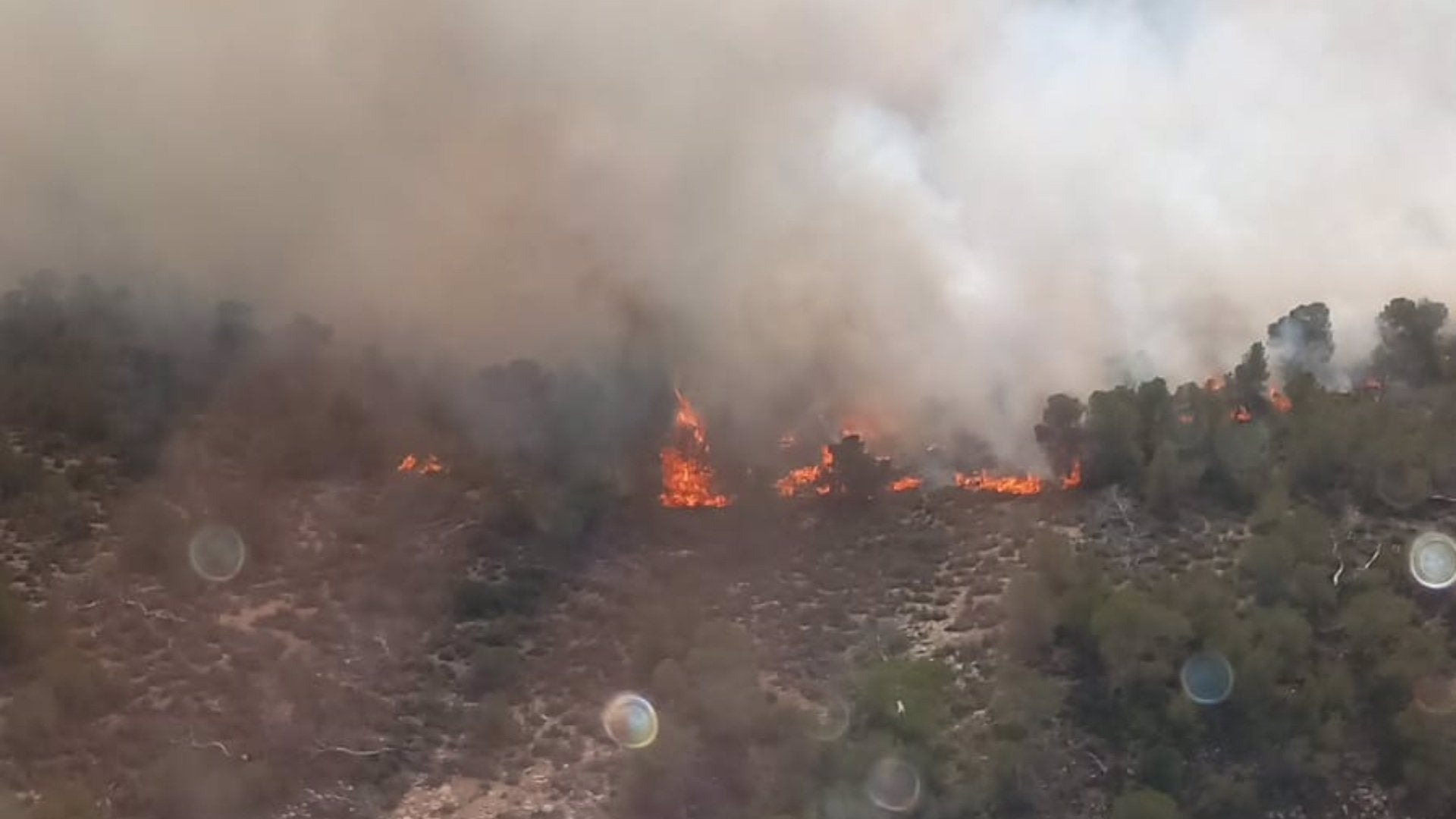 Un incendio forestal en Algueña moviliza a bomberos de Elche, Crevillent y de Elda junto a cinco medios aéreos Un incendio forestal en Algueña moviliza a bomberos de Elche, Crevillent y de Elda junto a cinco medios aéreos