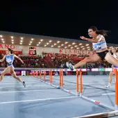 La Ciudad Deportiva Camilio Cano, un referente internacional La Ciudad Deportiva Camilio Cano, un referente internacional