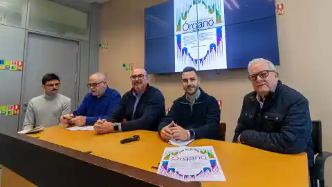 XIII Festival Internacional de Órgano de Benidorm XIII Festival Internacional de Órgano de Benidorm