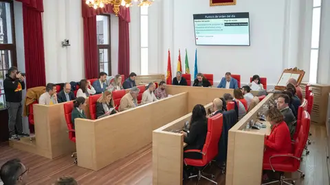 Pleno municipal del Ayuntamiento de Mérida Pleno municipal del Ayuntamiento de Mérida