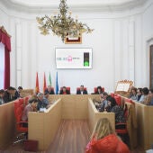 Pleno Ayto. Mérida