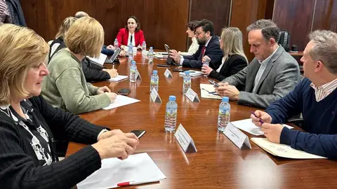 Constituida la Comisión Sectorial de Bienestar Social, Reto Demográfico e Igualdad de Extremadura Constituida la Comisión Sectorial de Bienestar Social, Reto Demográfico e Igualdad de Extremadura