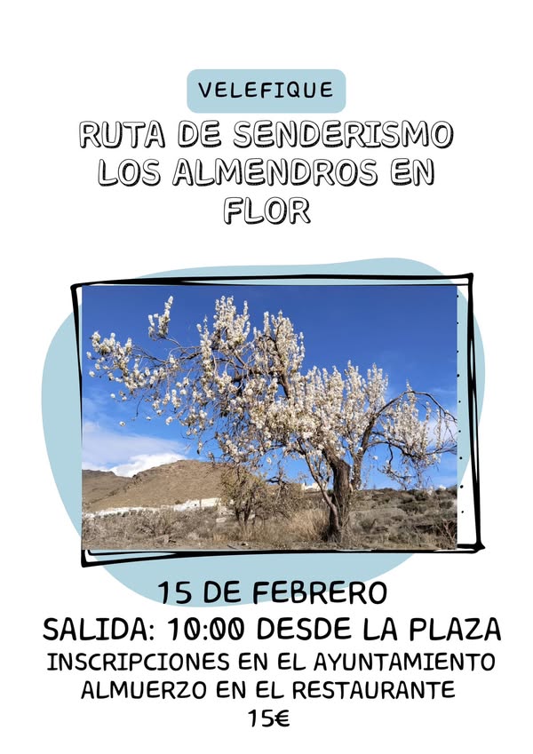 Febrero velefiqueño con el Día del Romero y la Ruta del Almendro Florecido Febrero velefiqueño con el Día del Romero y la Ruta del Almendro Florecido