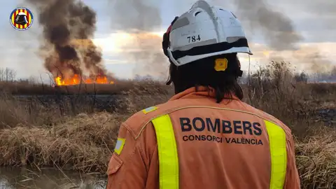 Un bombero, ante el incendio forestal de La Marjal dels Moros de Sagunto Un bombero, ante el incendio forestal de La Marjal dels Moros de Sagunto