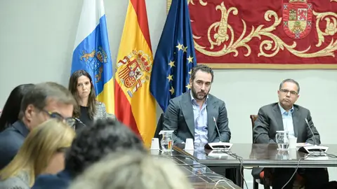 Víctor de Aldama en su declaración en el Parlamento de Canarias Víctor de Aldama en su declaración en el Parlamento de Canarias