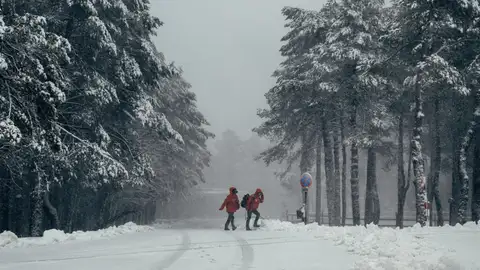 Dos personas caminan por la nieve en la estación de Montaña de Manzaneda (Ourense). Dos personas caminan por la nieve en la estación de Montaña de Manzaneda (Ourense).