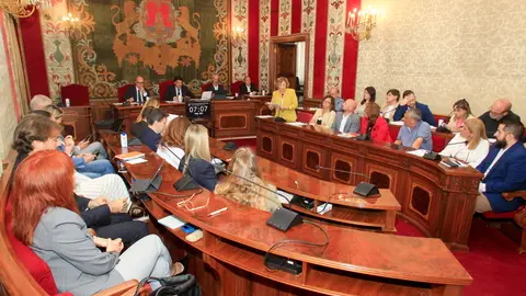 Una sesión de pleno del ayuntamiento de Alicante Una sesión de pleno del ayuntamiento de Alicante