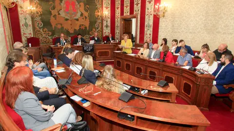 Una sesión de pleno del ayuntamiento de Alicante Una sesión de pleno del ayuntamiento de Alicante