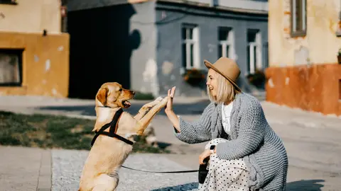 Una chica jugando con su perro Una chica jugando con su perro