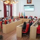 Pleno Municipal Mérida