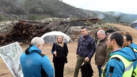 Actuaciones tras el incendio de Terrateig (Valencia). Actuaciones tras el incendio de Terrateig (Valencia).