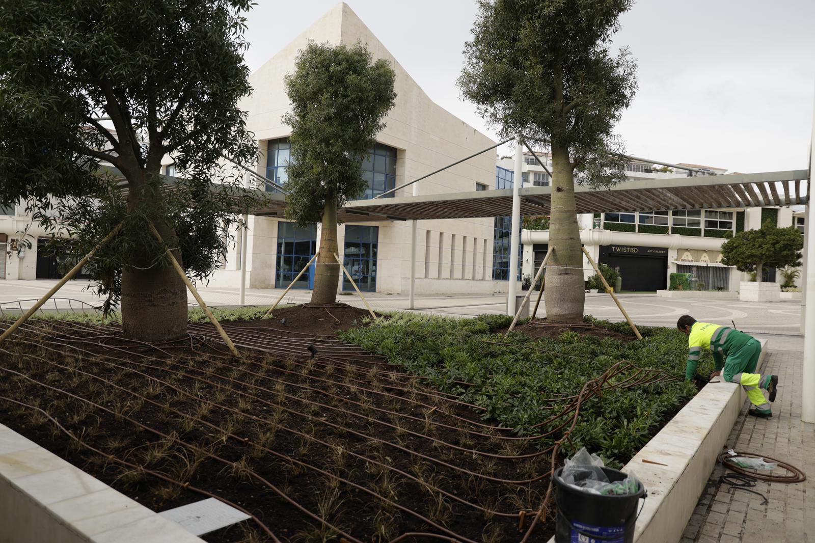 Las obras de remodelación de la plaza Antonio Banderas están llegando a su fin Las obras de remodelación de la plaza Antonio Banderas están llegando a su fin