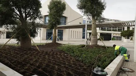 Obra remodelación plaza Antonio Banderas Obra remodelación plaza Antonio Banderas