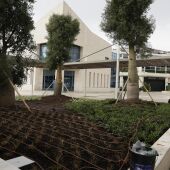Obra remodelación plaza Antonio Banderas