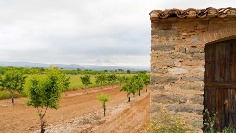 Imagen de archivo del interior de Castell&oacute;n. 