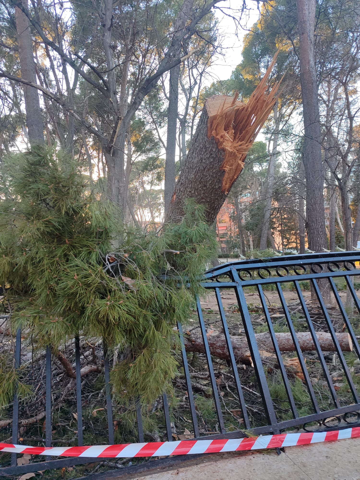 Los alumnos del colegio San Fernando tienen que desplazarse al Mari Llanos Martínez en el recreo Los alumnos del colegio San Fernando tienen que desplazarse al Mari Llanos Martínez en el recreo