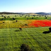 Paisaje de Campo de Montiel