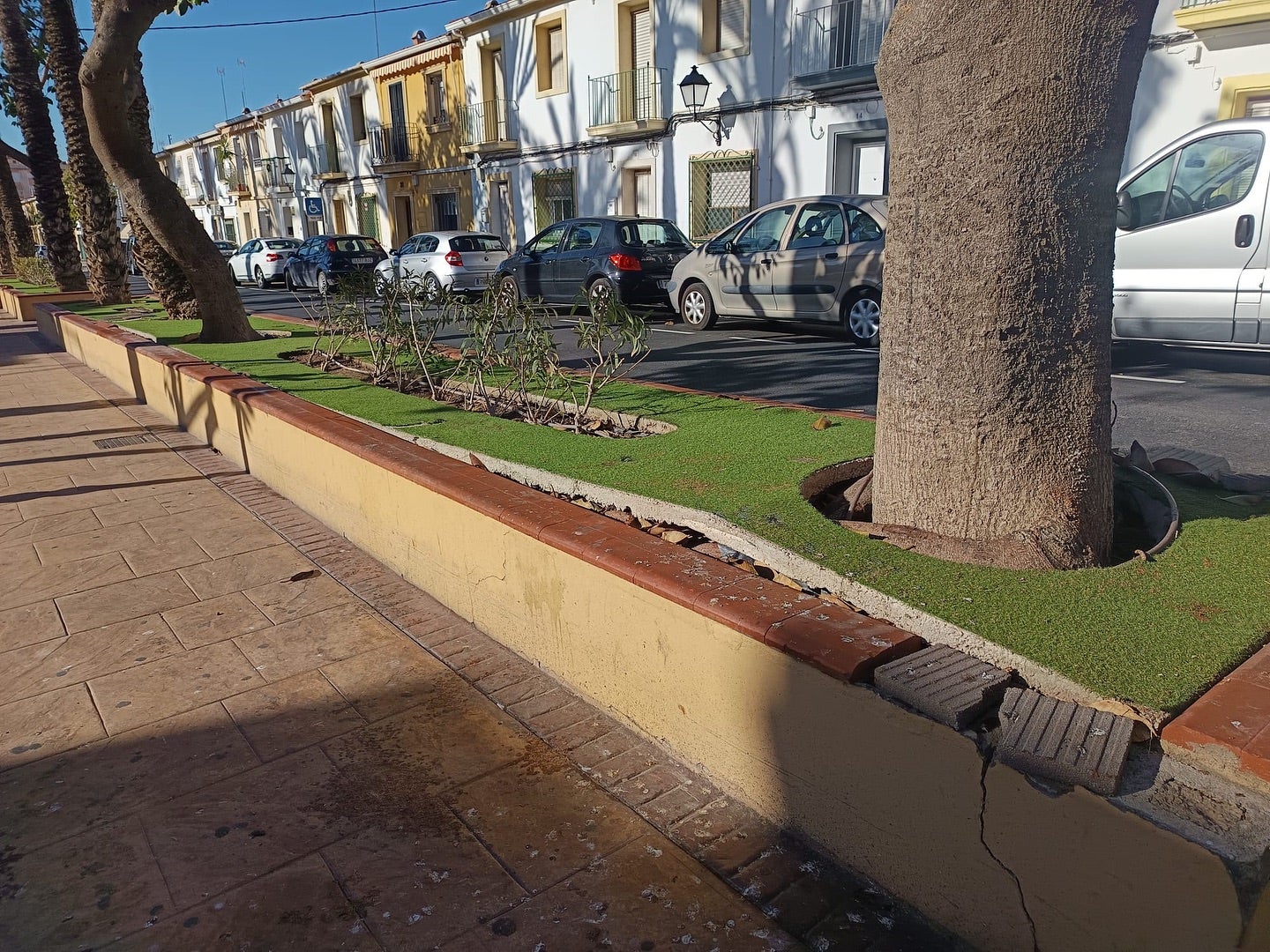La renovación de las jardineras de Obispo Barrachina de Elche comenzará en las próximas semanas La renovación de las jardineras de Obispo Barrachina de Elche comenzará en las próximas semanas