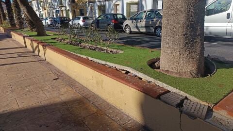 Estado que presenta una de las jardineras de la calle Obispo Barrachina de Elche.