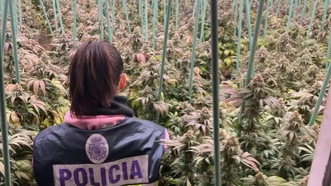 Detienen al cabecilla de la macroplantación de marihuana desmantelada en el polígono Monzu Detienen al cabecilla de la macroplantación de marihuana desmantelada en el polígono Monzu