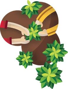 Iª Jornadas agroecológicas en el CEIP Torrequebrada de Roquetas Iª Jornadas agroecológicas en el CEIP Torrequebrada de Roquetas
